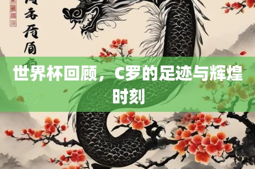 世眉山市正发家政服务有限公司界杯回顾，C罗的足迹与辉煌时刻