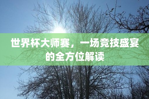 世界杯大师赛，一场竞技盛宴的全方位解读