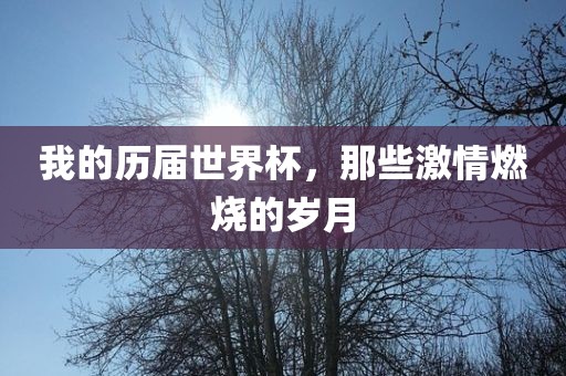 我的历届世界杯，那些激情燃烧的岁月