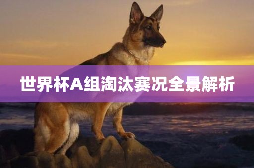 世界杯A组淘汰赛况全景解析