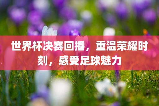 世界杯决赛回播，重温荣耀时刻，感受足球魅力
