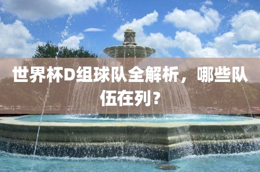 世界杯D组球队全解析，哪些队伍在列？