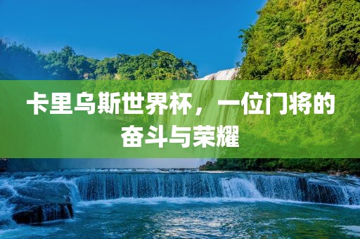 卡里乌斯世界杯，一位门将的奋斗与荣耀眉山市正发家政服务有限公司