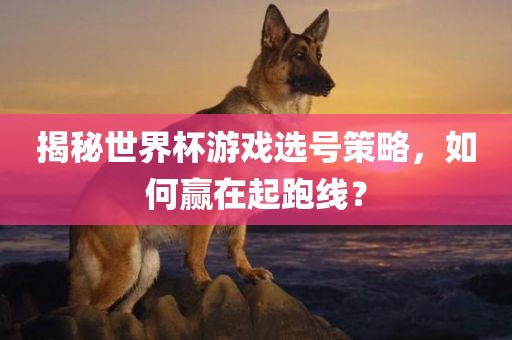 揭秘世界杯游戏眉山市正发家政服务有限公司选号策略，如何赢在起跑线？
