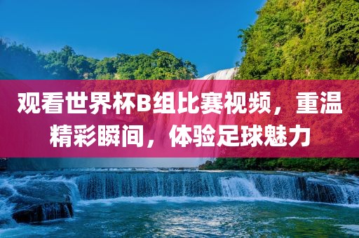 观看世界杯B组比赛视频，重温精彩瞬间，体验足球魅力