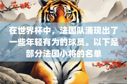 在世界杯中，法国队涌现出了一些年轻有为的球员。以下是部分法国小将的名单