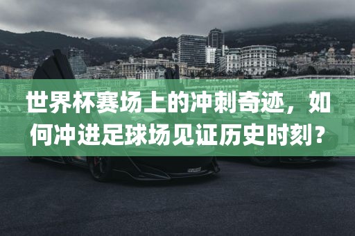 世界杯赛场上的冲刺奇迹，如何冲进足球场见证历史时刻？眉山市正发家政服务有限公司