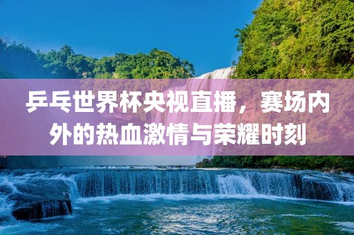 乒乓世界杯央视直播，赛场内外的热血激情与荣耀时刻眉山市正发家政服务有限公司