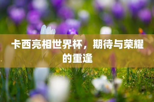 jinrou 第3页