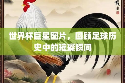世界杯巨星图片，回顾足球历史中的璀璨瞬间眉山市正发家政服务有限公司