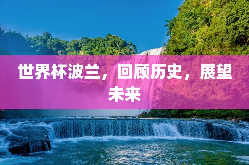 世界杯波兰，回顾历史，展望未来