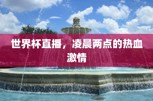 世界杯直播，凌晨两点的热血激情眉山市正发家政服务有限公司