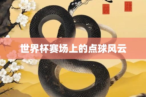 世界杯赛场上的点球风云眉山市正发家政服务有限公司