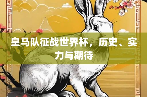 皇马队征战世界杯，历史、实力与期待眉山市正发家政服务有限公司