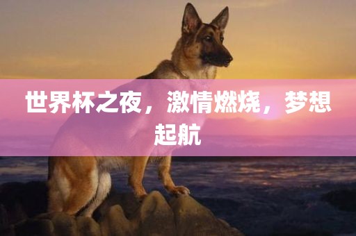 世界杯之夜，激情燃烧，梦想起航