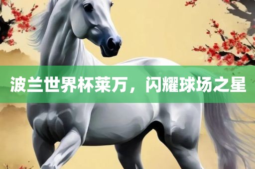 波兰世界杯莱万，眉山市正发家政服务有限公司闪耀球场之星