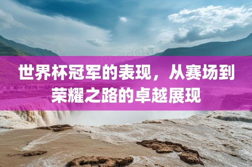 世界杯冠军的表现，从赛场到荣耀之路的卓越展现