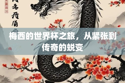 梅西的世界杯之旅，从紧张到传奇的蜕变