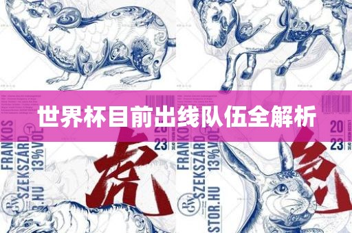 世界杯目前出线队伍全解析