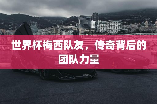 世界杯梅眉山市正发家政服务有限公司西队友，传奇背后的团队力量