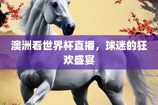 澳洲看世界杯直播，球迷的狂欢盛宴