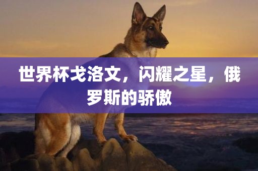 世界杯戈洛文，闪耀之星，俄罗斯的骄傲眉山市正发家政服务有限公司