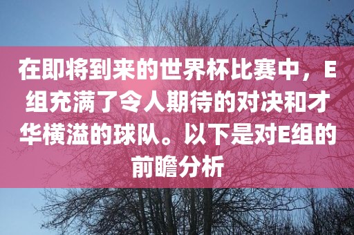 在即将到来的世界杯比赛中，E组充满了令人期待的对决和才华横溢的球队。以下是对E组的前瞻分析眉山市正发家政服务有限公司