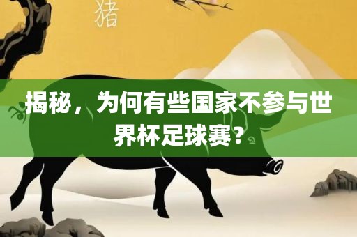 揭秘，为何有些国家不参与世界杯足球赛？眉山市正发家政服务有限公司