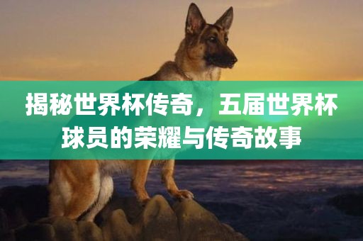 揭秘世界杯传奇，五届世界杯球员的荣耀与传奇故事眉山市正发家政服务有限公司