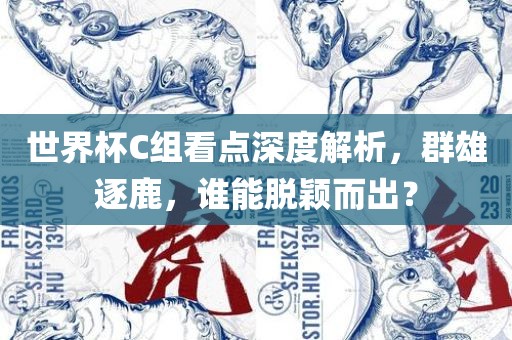 世界杯C组看点深度解析，群雄逐鹿，谁能脱颖而出？