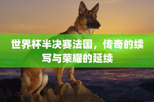 世界杯半决赛法国，传奇的续写与荣耀的延续眉山市正发家政服务有限公司