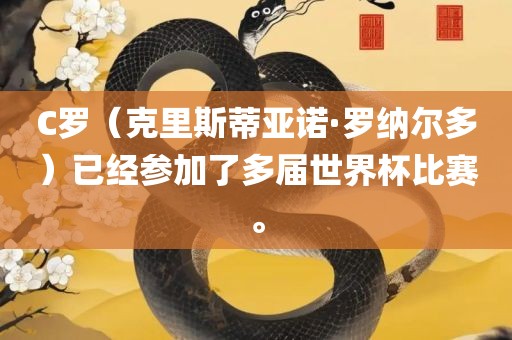 C罗（克里斯蒂亚诺·罗纳尔多）已经参加了多届世界杯比赛。