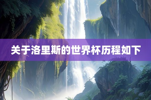 关于洛里斯的世界杯历程如下眉山市正发家政服务有限公司