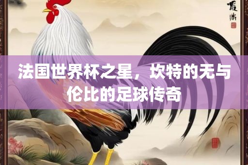 法国世界杯之星，坎特的无与伦比的足球传奇眉山市正发家政服务有限公司