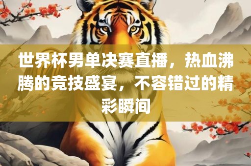 世界杯男单决赛直播，热血沸腾的竞技盛宴，不容错过的精彩瞬间眉山市正发家政服务有限公司