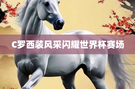 C罗西装风采闪耀世界杯赛场眉山市正发家政服务有限公司