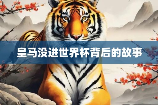 皇马没进世眉山市正发家政服务有限公司界杯背后的故事