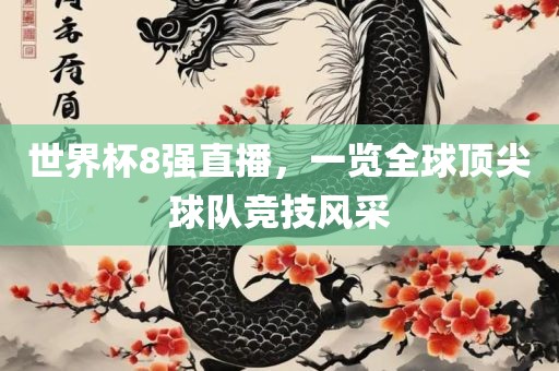 世界杯8强直播，一览全球顶尖球队竞技风采眉山市正发家政服务有限公司