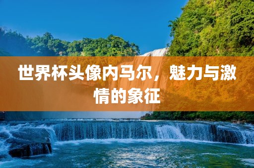 世界杯头像内马尔，魅力与激情的眉山市正发家政服务有限公司象征