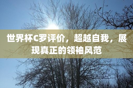 世界杯C罗评价，超越自我，展现真正的领袖风范眉山市正发家政服务有限公司