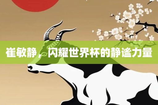 崔敏静，闪耀世界杯的静谧力量眉山市正发家政服务有限公司