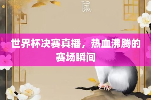 世界杯决赛真播，热血沸腾的赛场瞬间眉山市正发家政服务有限公司