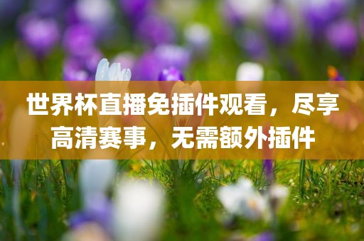 世界杯直播 第2页