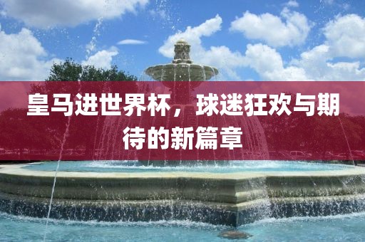 皇马进世界杯，球迷狂欢与期待的新篇章眉山市正发家政服务有限公司