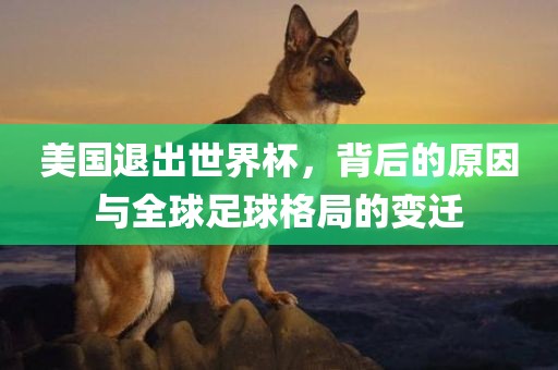 美国退出世界杯，背后的原因与全球足球格局的变迁眉山市正发家政服务有限公司