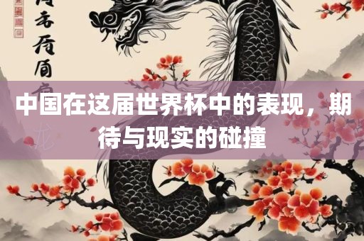 中国在这届世界杯中的表现，期待与现实的碰撞