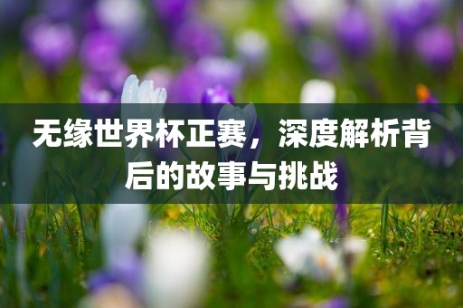 无缘世界杯正赛，深度解析背后的故事与挑战眉山市正发家政服务有限公司