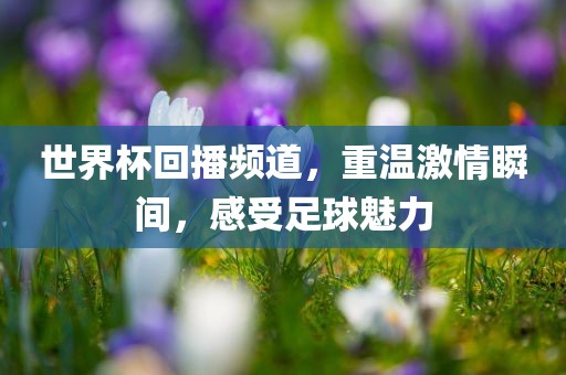 世界杯回播频道，重温激情瞬间，感受足球魅力