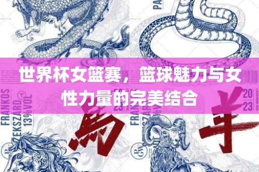 世界杯女篮赛，篮球魅力与女性力量的完美结合