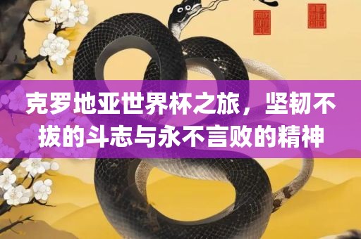 克罗地亚世界杯之旅，坚韧不拔的斗志与永不言败的精神